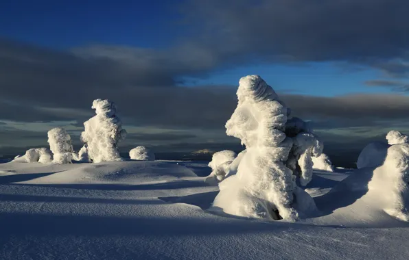 Winter, snow, trees, landscape, nature, ate, shadows, Maxim Evdokimov