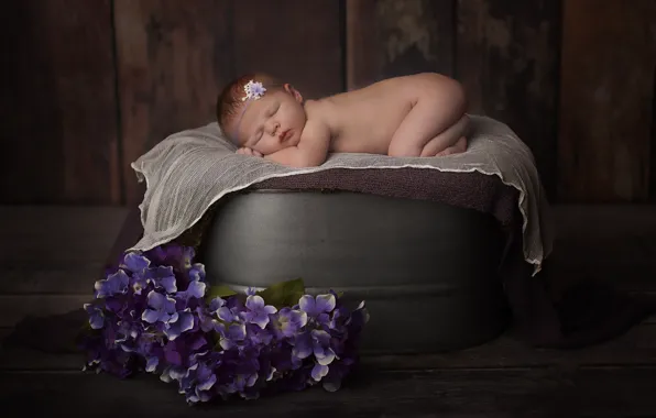 Picture flowers, children, sleep, sleeping, baby, child, composition, newborn