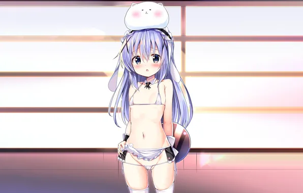 Girl, sexy, lingerie, pantsu, bra, cleavage, panties, thighhighs