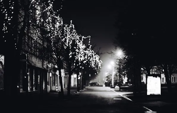 Picture winter, road, trees, the city, lights, street, black and white, garland