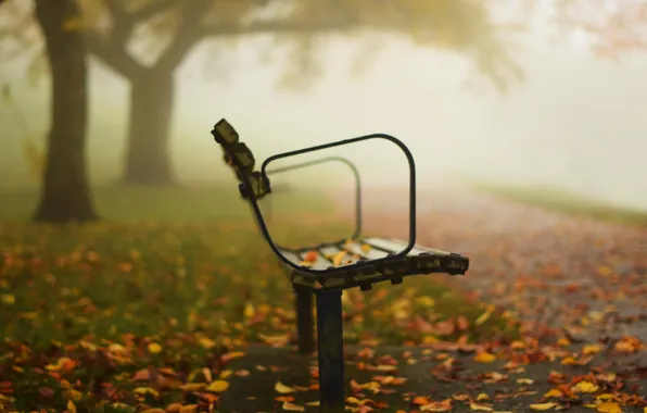 Autumn, nature, Park, bench