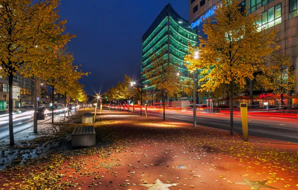 Road, autumn, leaves, trees, night, the city, building, excerpt