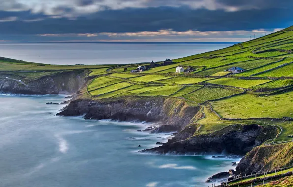 Sea, field, house, slope, Ireland, County Kerry