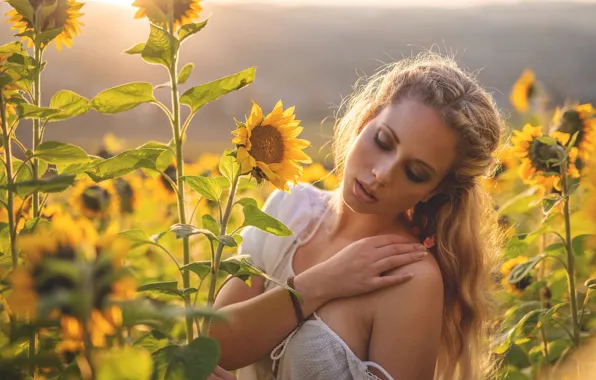 Picture girl, sunflowers, blonde, shoulder, Jürgen Bauer