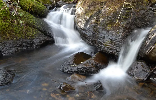 Picture forest, river, stones, waterfall, stream