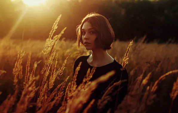 The sun, Reflection, Girl, Field, Ears, Hair, Beautiful, Ola Pushkina