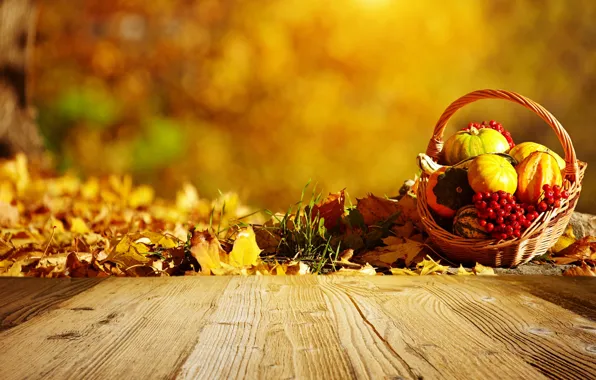 Picture autumn, basket, pumpkin, leaves, Rowan