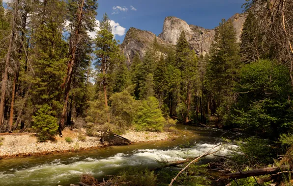 Picture USA, California, parks, Yosemite.