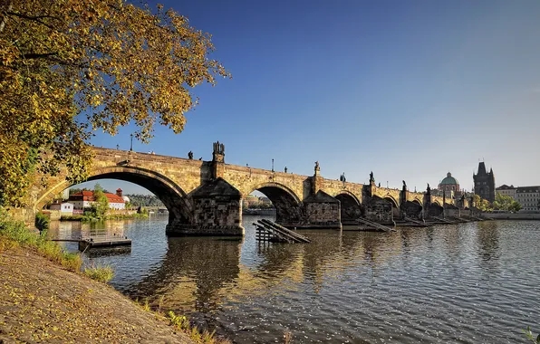 Picture autumn, leaves, trees, river, shore, home, Charles bridge, Prague