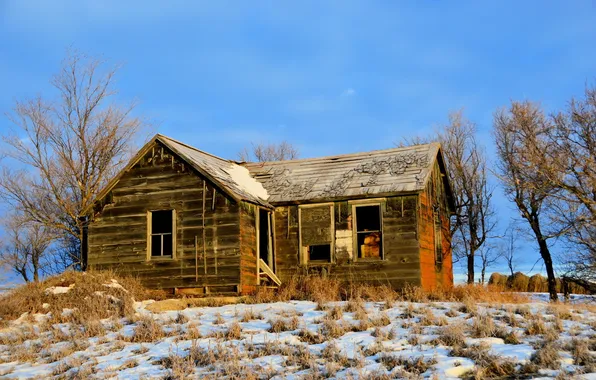 Winter, landscape, house