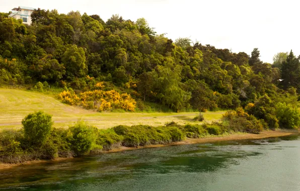 Road, river, shore, slope, New Zealand, Waikato River