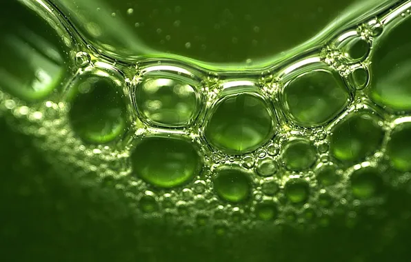 Greens, reflection, bubbles