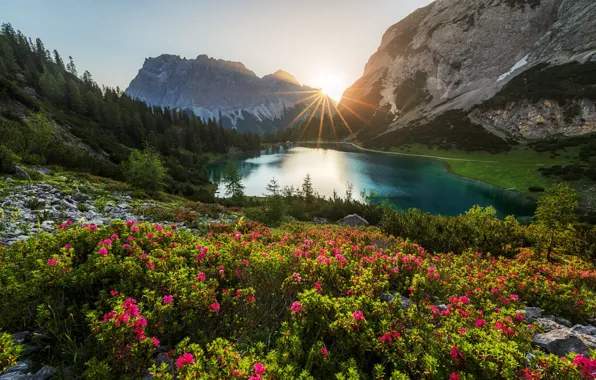 Forest, the sun, rays, landscape, mountains, nature, lake, vegetation