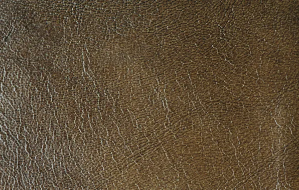 Surface, Shine, texture, leather, brown, relief, texture, brown