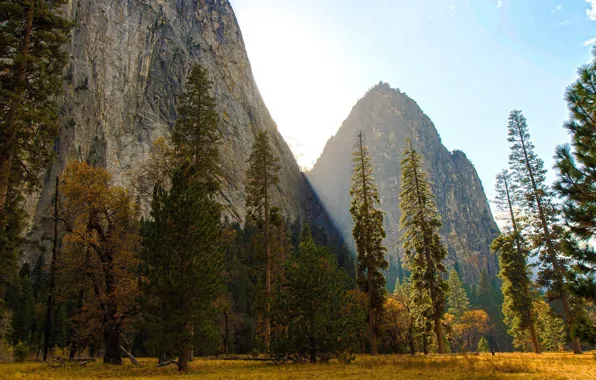 Picture Apple, Yosemite, OS X, 10.10