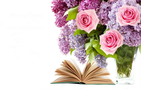 Flowers, roses, bouquet, book, flowers, lilac, book, bouquet
