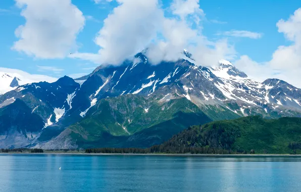 Clouds, trees, mountains, shore, Alaska, Bay, USA, Alaska
