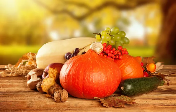 Picture autumn, apples, mushrooms, harvest, grapes, pumpkin, fruit, vegetables