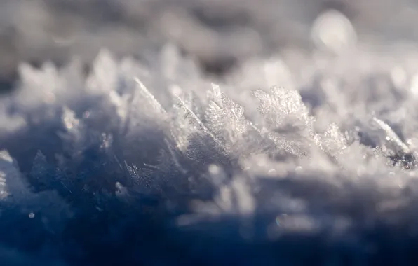 Winter, macro, snow, frost, crystals