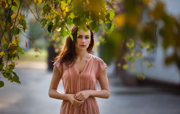 Autumn, look, leaves, girl, sweetheart, model, portrait, dress