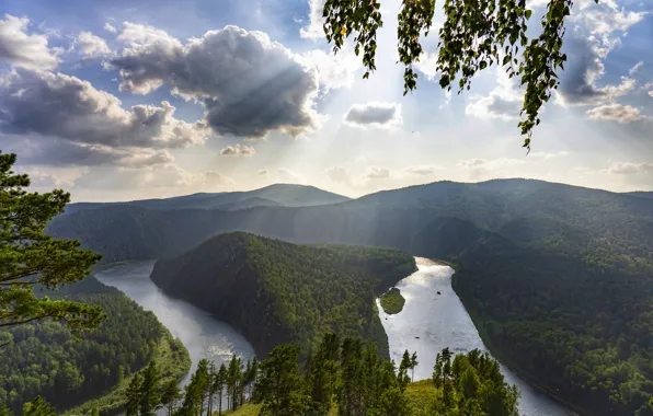 Forest, mountains, river, Mana, Manskaya Loop