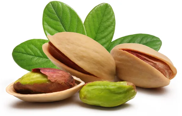 Leaves, nuts, pistachios
