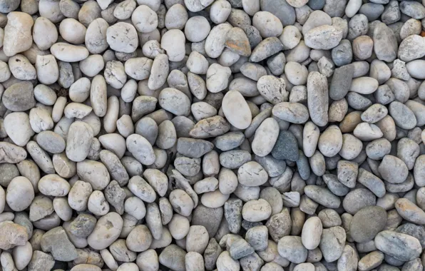 Beach, pebbles, stones, background, beach, texture, marine, sea