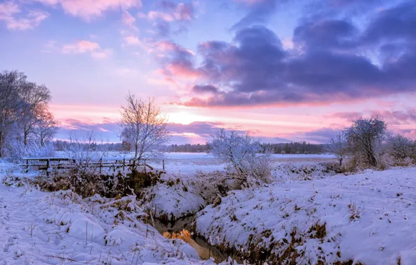 Picture winter, field, snow, trees, bridge, dawn, morning, village