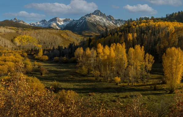 Autumn, forest, trees, mountains, Colorado, Colorado, San Juan Mountains, San Juan Mountains