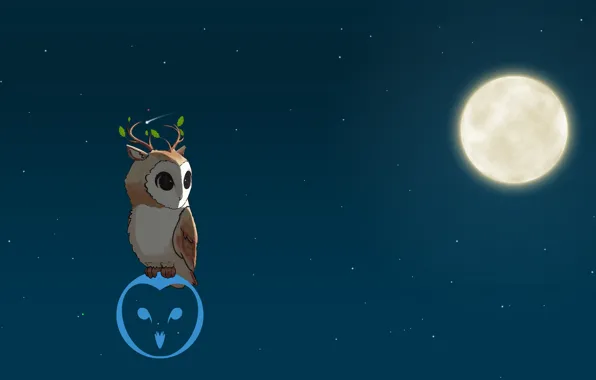 Night, The moon, The barn owl, Olenevoda barn owl