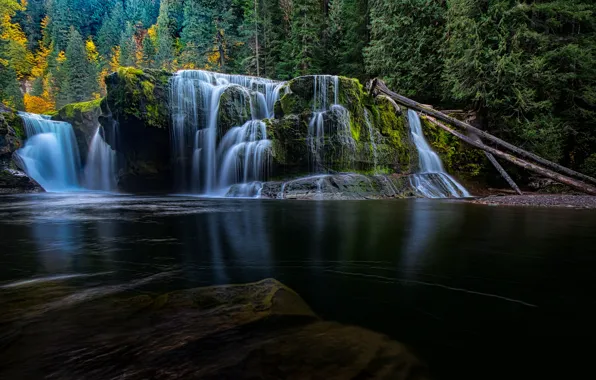 Forest, the dark background, rocks, shore, waterfall, USA