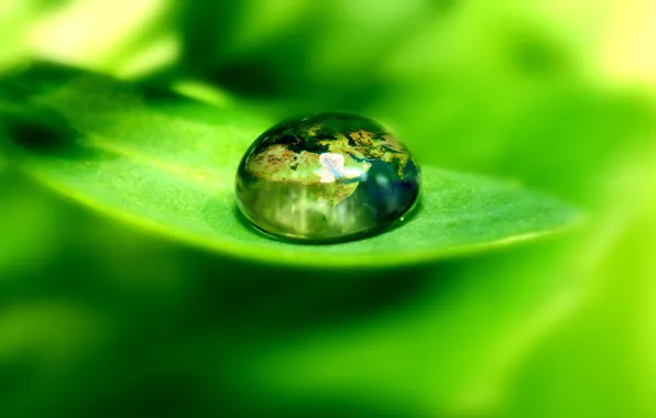 Sheet, green, drop