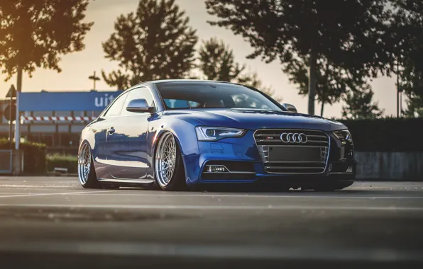 Audi, Audi, blue, blue, suspension