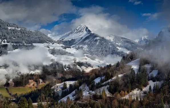 Picture winter, clouds, mountains, fog, Alps, forest