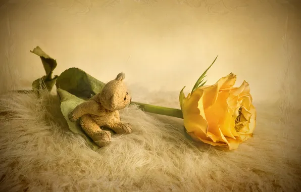 Picture style, toy, rose