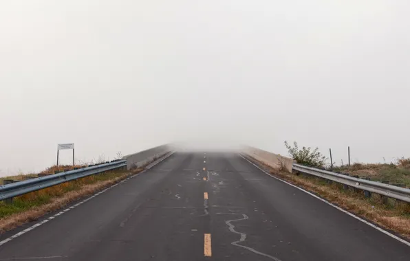 Road, landscape, fog