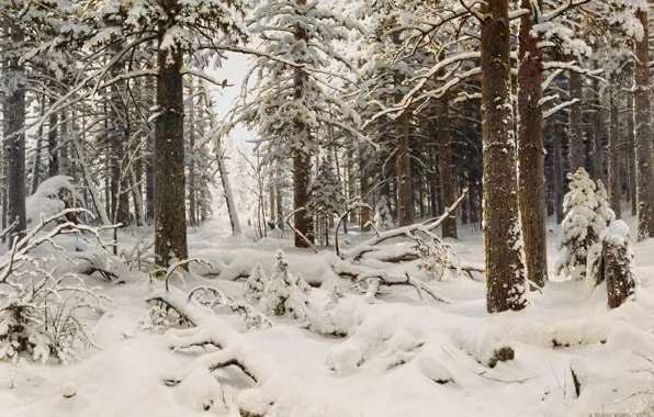 Winter, forest, snow, trees, nature, figure, Ivan Shishkin