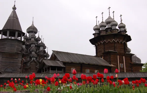 Picture flowers, close-up, Kizhi