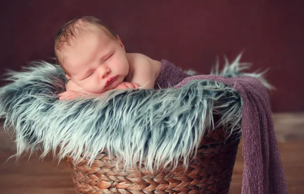 Child, sleep, boy, sleeping, fur, basket, baby, sweet