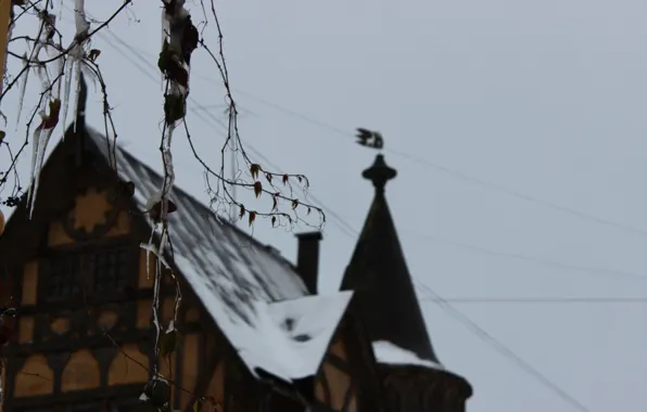 The sky, Winter, House, Church, Grey