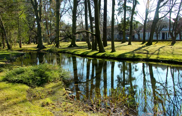 Trees, water, park, pond