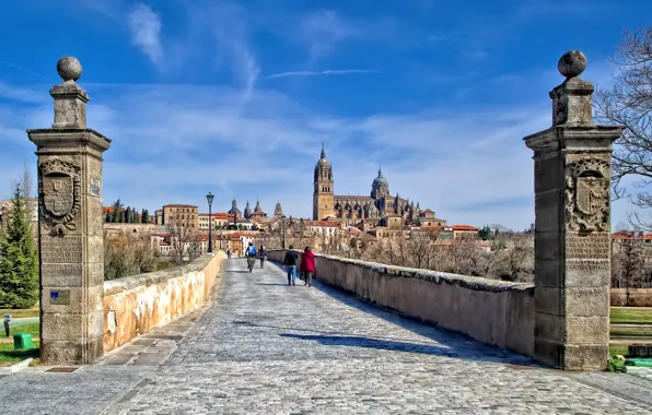 Picture home, Cathedral, Spain, Roman bridge, Salamanca