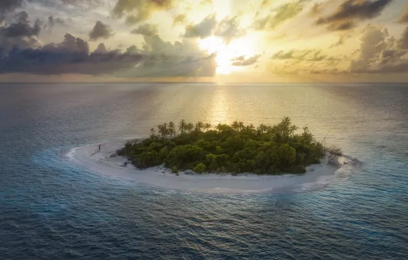 Island, tropical, flora, fauna