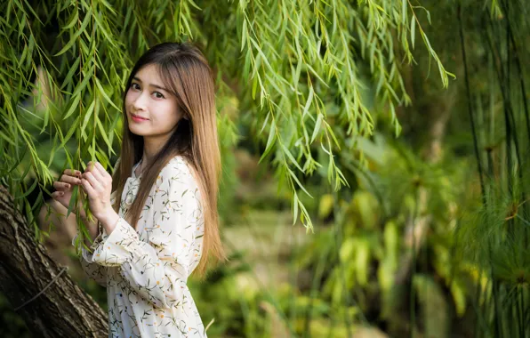Picture look, girl, branches, sweetheart, hair, Asian