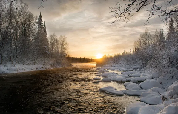 Picture winter, forest, the sky, the sun, clouds, snow, trees, sunset