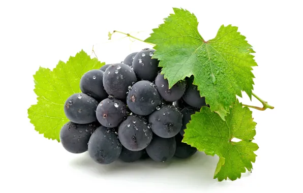 Leaves, drops, wet, black, grapes, white background