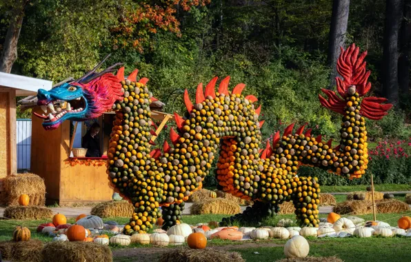 Photo, dragon, Germany, pumpkin, festival