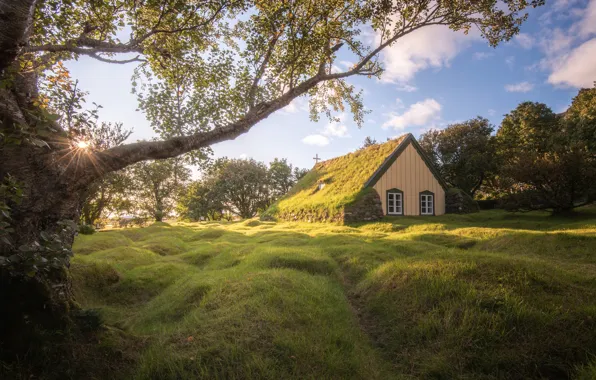 Picture grass, trees, Church, Iceland, Iceland, The yard, Hofskirkja Church, Hof