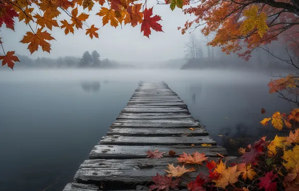 Autumn, branches, fog, lake, tree, shore, foliage, Board