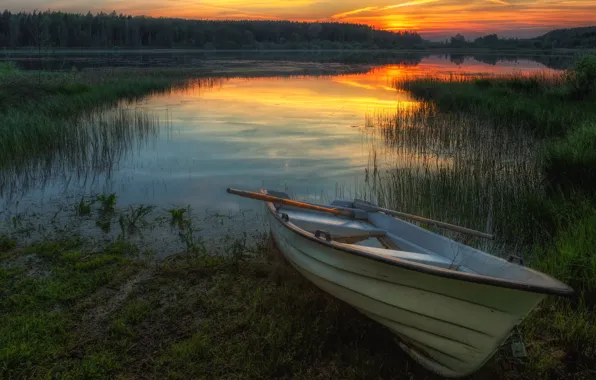 Forest, summer, the sky, grass, clouds, sunset, lake, pond